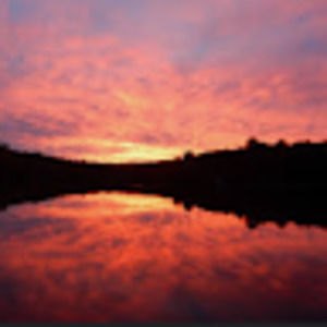 Meet your Posher, Jayden